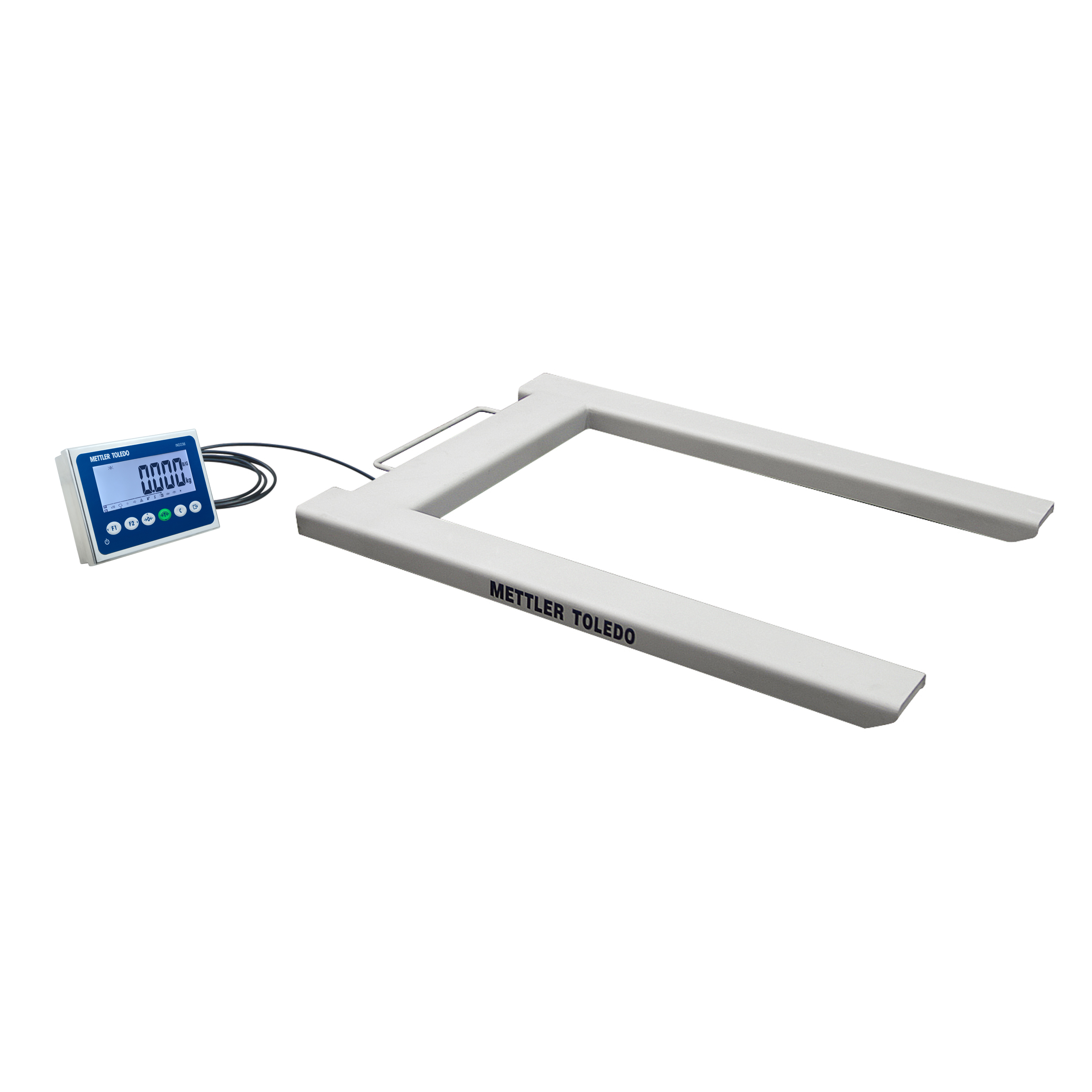 Floor scale BSA236-1500M